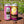 PARADISE LOST - GUAVA PINEAPPLE • 473 ML TALL CAN